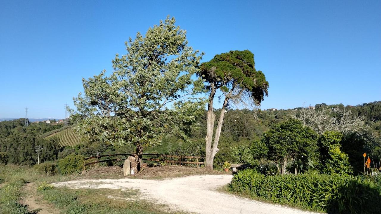 Quinta Do Oratorio Agroturismo Obidos Bagian luar foto